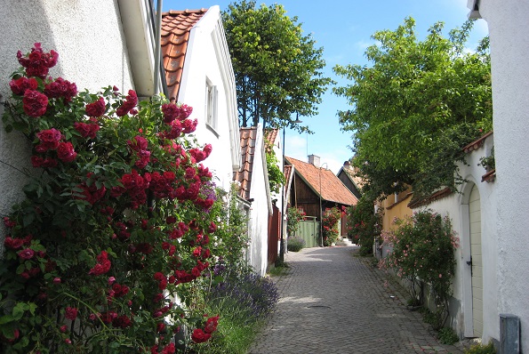 Gotland-Rosornas ö