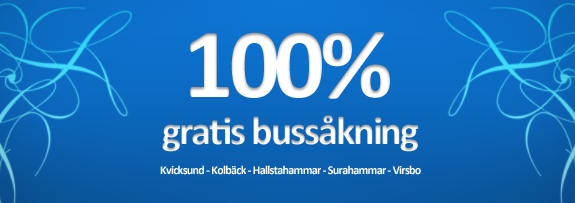 Brukslinjen