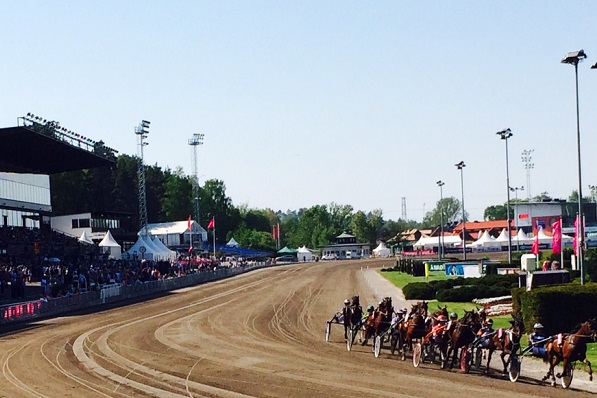 Bild:Solvalla