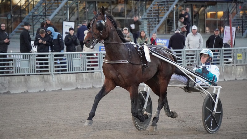 Bild: Solvalla