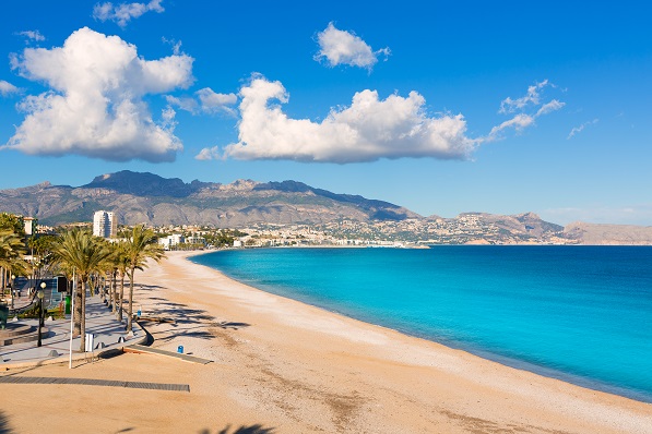 Albir Albir