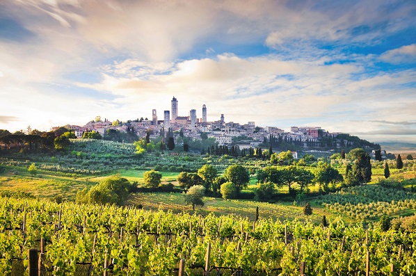 Toscana- vyer, vin och delikatesser